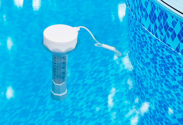 Floating Alligator Pool Thermometer 