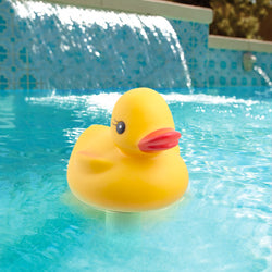 Floating Pool Thermometer - Duck Style
