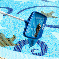 Professional Grade Pool Skimmer with 4ft Telescopic Pole