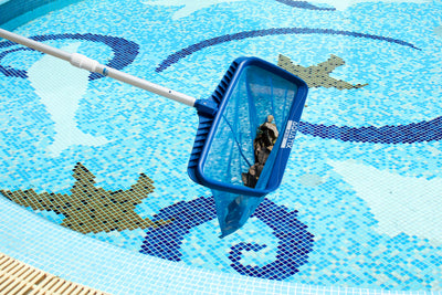 Professional Grade Pool Skimmer with 4ft Telescopic Pole